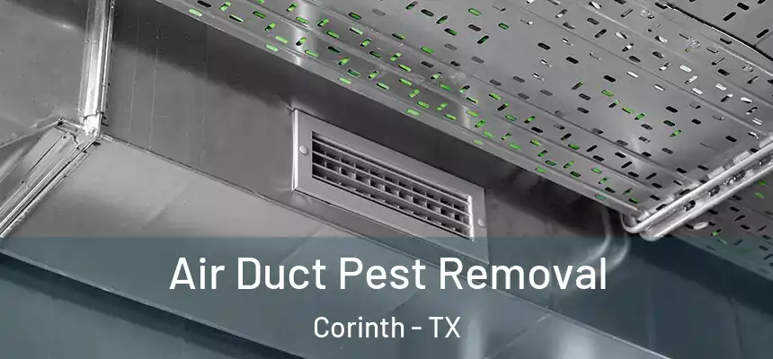  Air Duct Pest Removal Corinth - TX