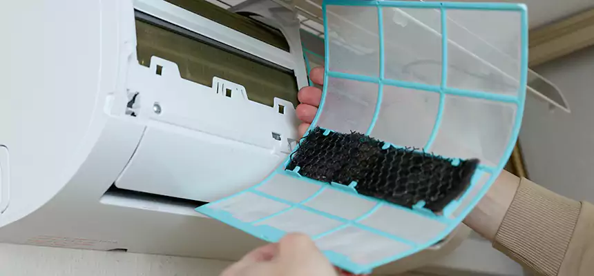 Gentle Ductwork Odor-Control Pet Dander Duct Cleaning in Corinth, TX