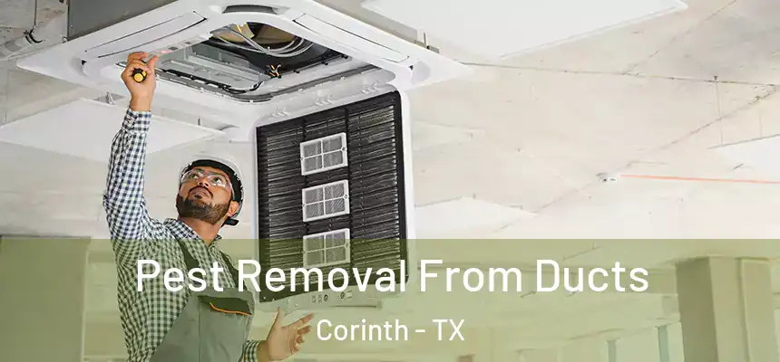  Pest Removal From Ducts Corinth - TX