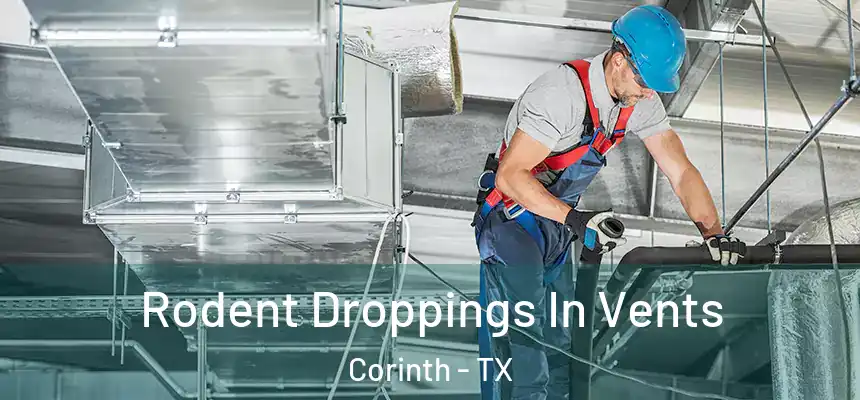  Rodent Droppings In Vents Corinth - TX