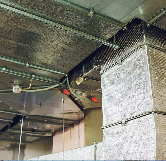 Why Homeowners & Businesses Trust Us in Corinth, TX?