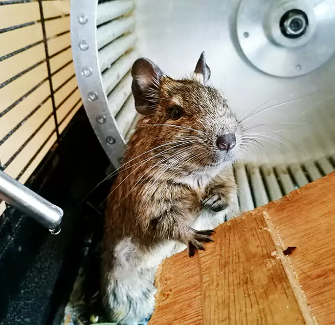 Why Homeowners & Businesses Trust Us Corinth, TX