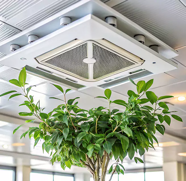 Why Homeowners & Businesses Trust Us in Corinth, TX?