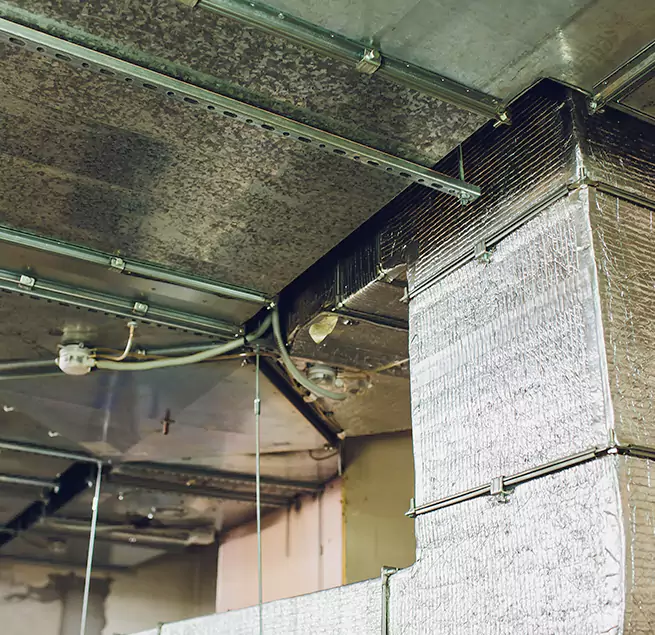 Why Homeowners & Businesses Trust Us in Corinth, TX?